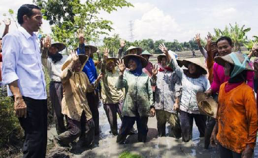 Pangan Nasional Bertumpu pada Petani, Pelaku Utama Pembangunan Pertanian